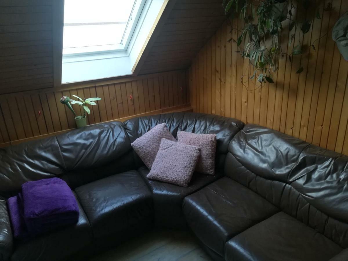 Apartma Pr Pekovcu 보히니 외부 사진