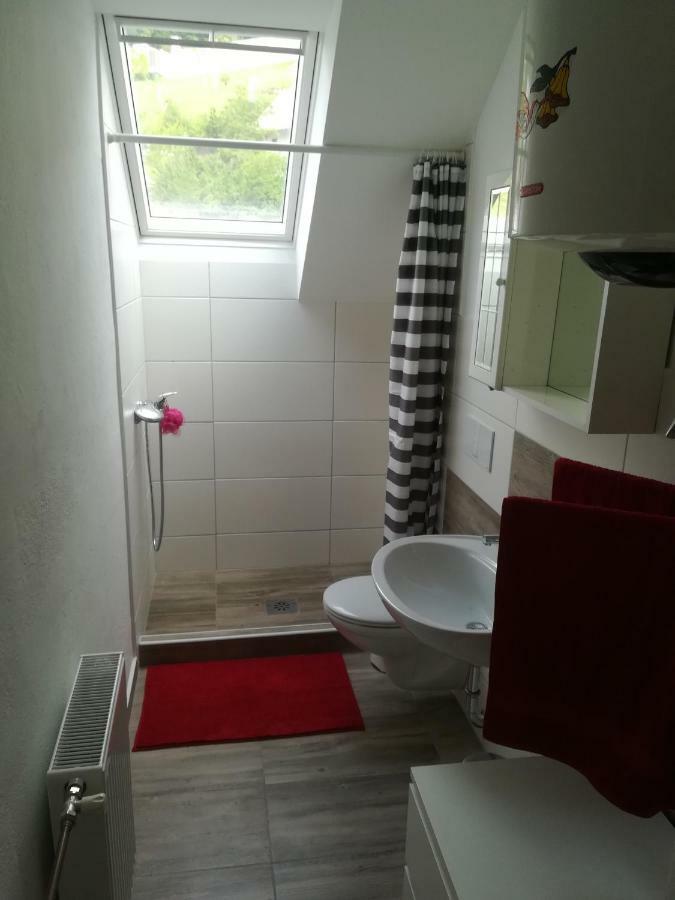 Apartma Pr Pekovcu 보히니 외부 사진